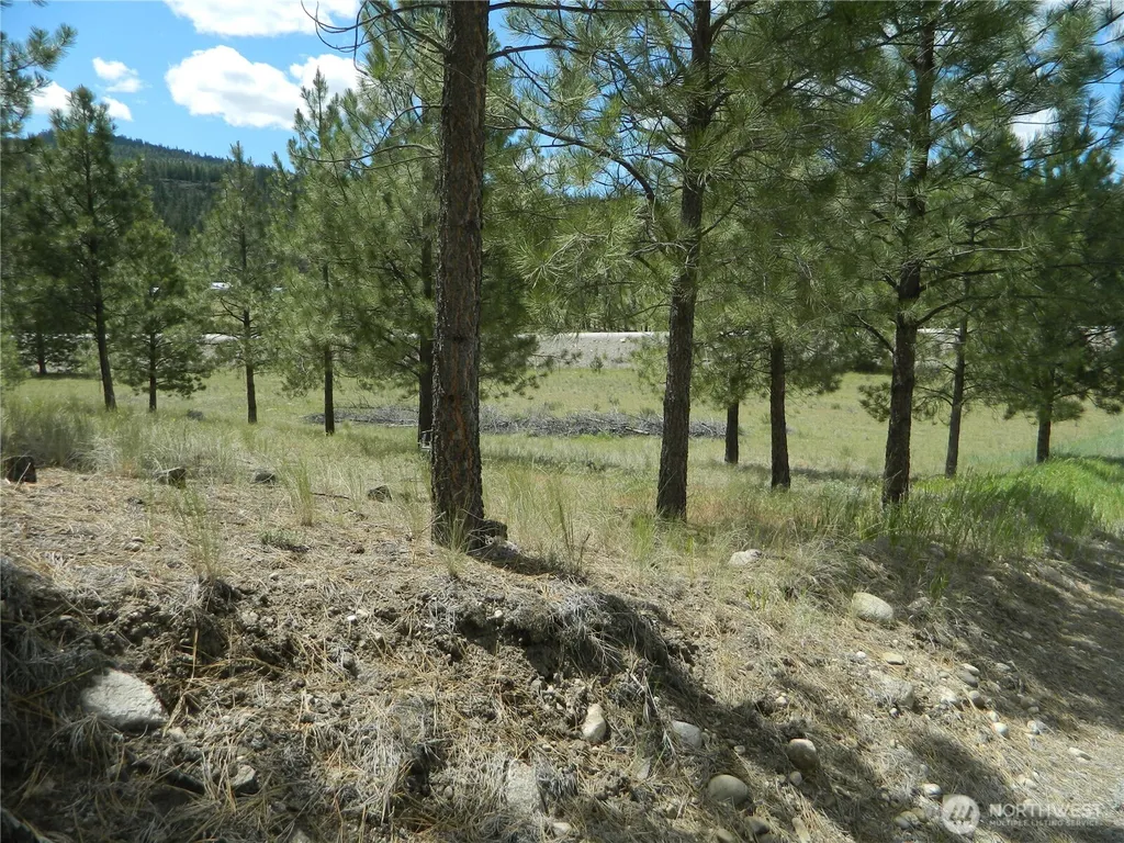 439 Aeneas Valley Road Tonasket WA 98855
