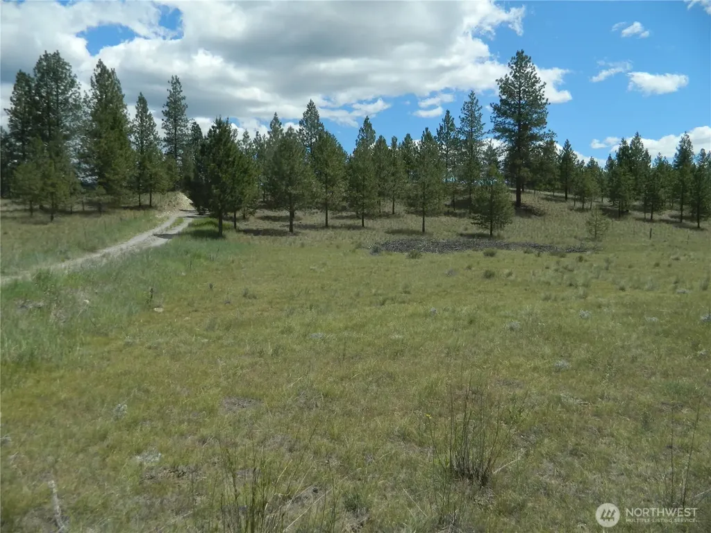 439 Aeneas Valley Road Tonasket WA 98855