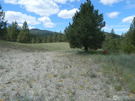 439 Aeneas Valley Road Tonasket WA 98855