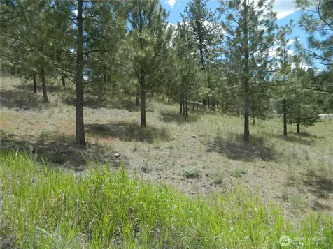 439 Aeneas Valley Road Tonasket WA 98855