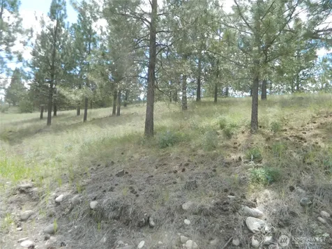 439 Aeneas Valley Road Tonasket WA 98855