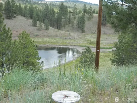 439 Aeneas Valley Road Tonasket WA 98855