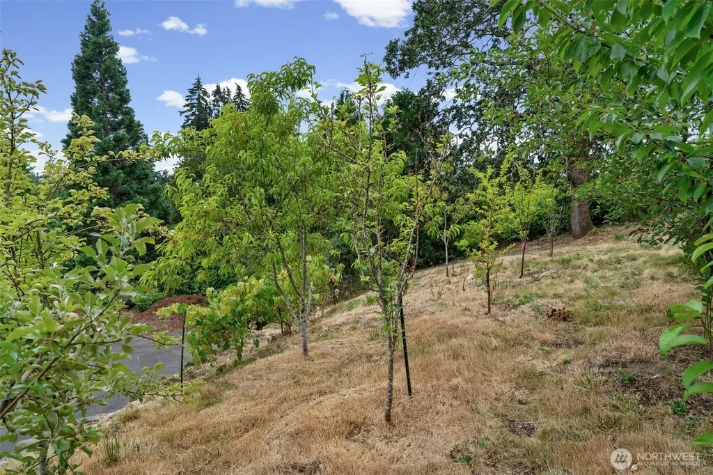 309 129th Street East Avenue Tacoma WA 98445