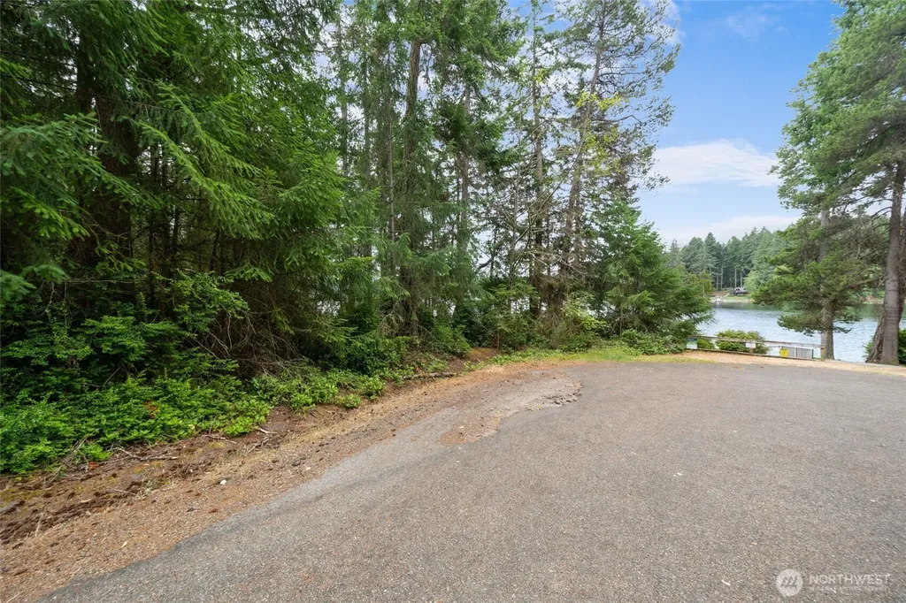 10718 Trout Place Anderson Island WA 98303