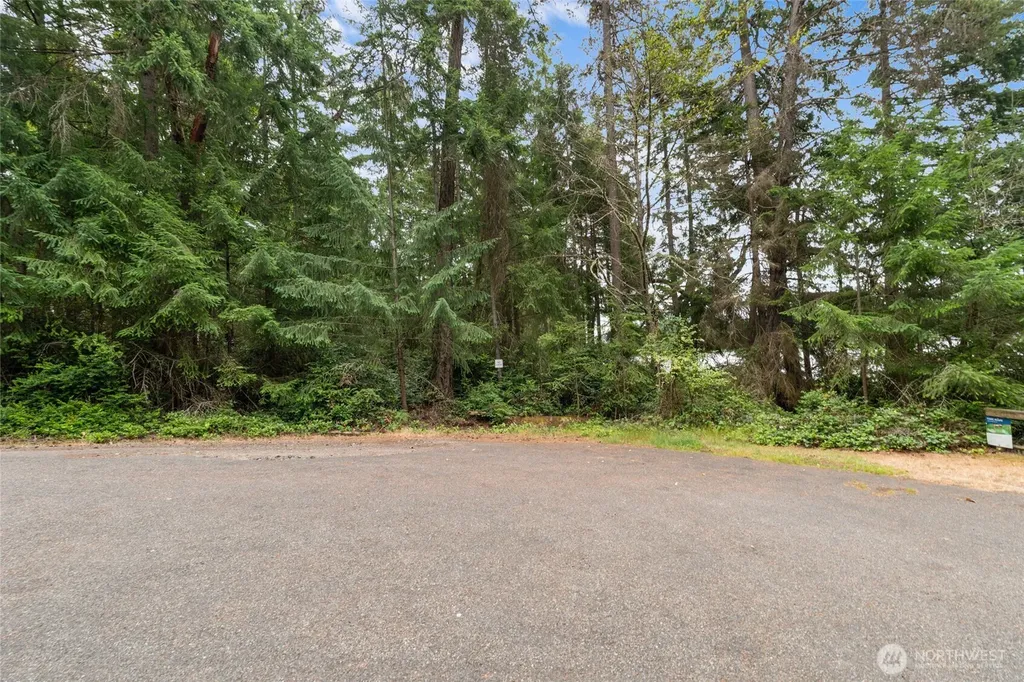 10718 Trout Place Anderson Island WA 98303