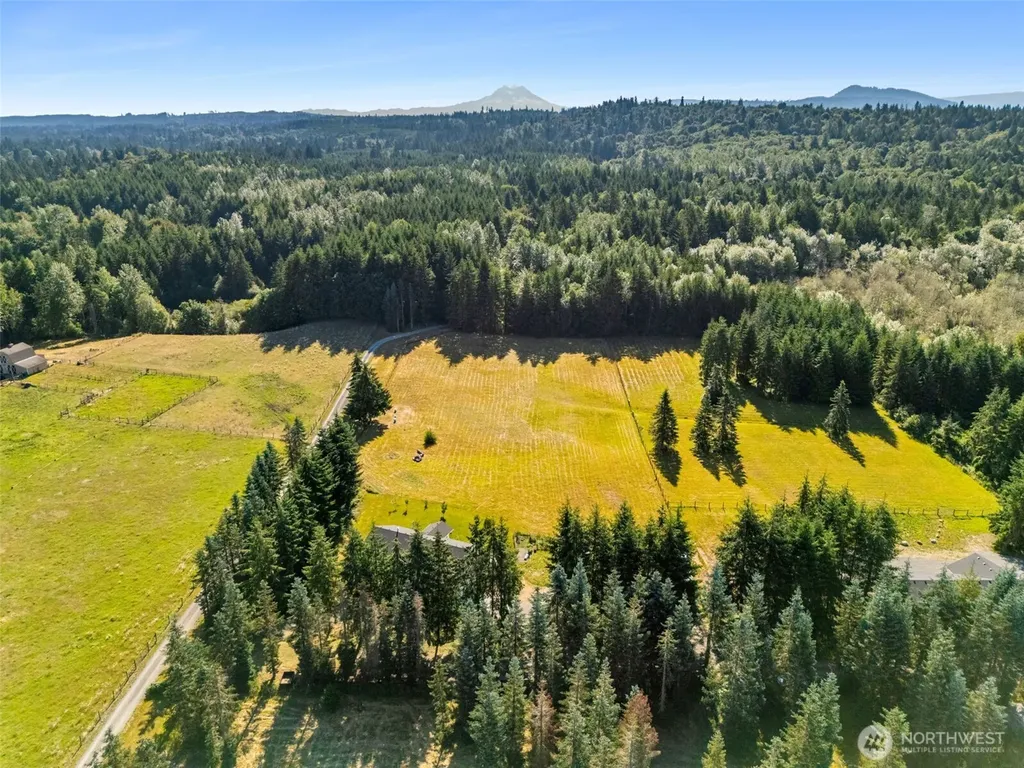 230 156th Lane SE Tenino WA 98589