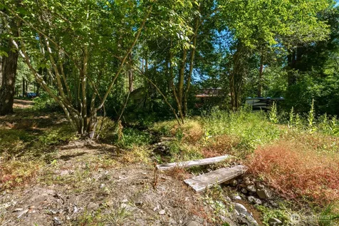 106 109 Mountain Home Park Lane Dayton WA 99328