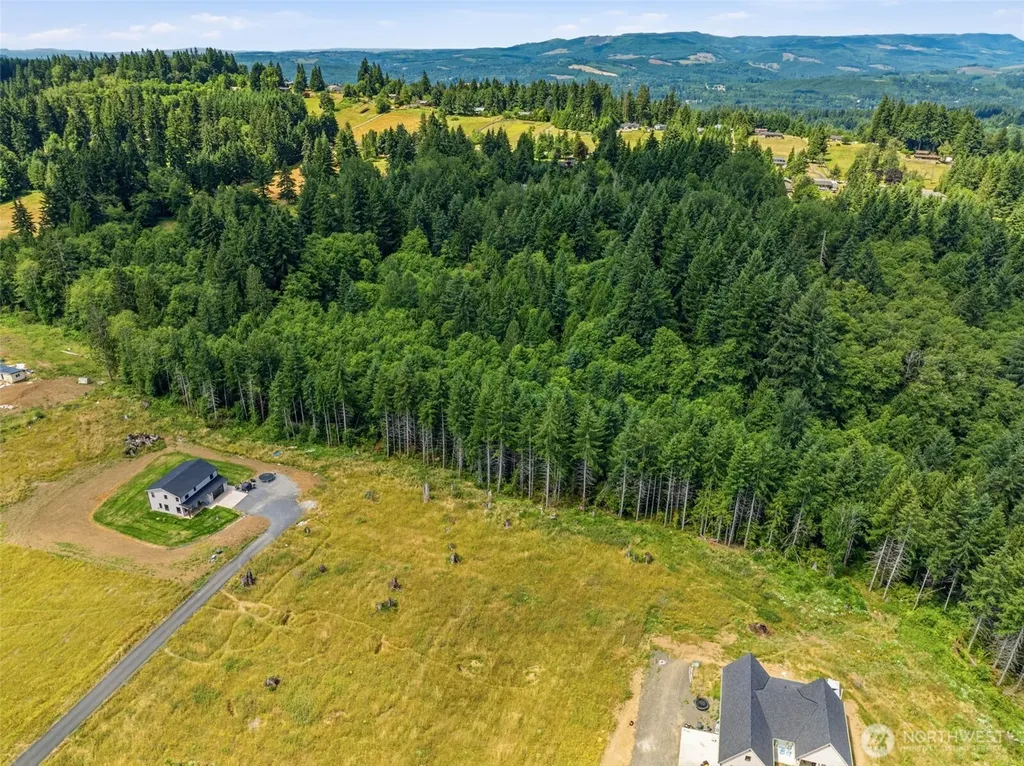 252 Ash Mountain Drive Castle Rock WA 98611