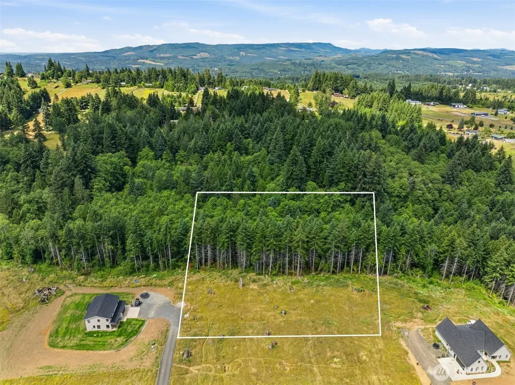 252 Ash Mountain Drive Castle Rock WA 98611