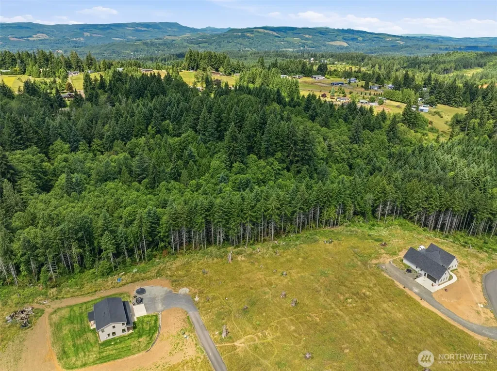 252 Ash Mountain Drive Castle Rock WA 98611