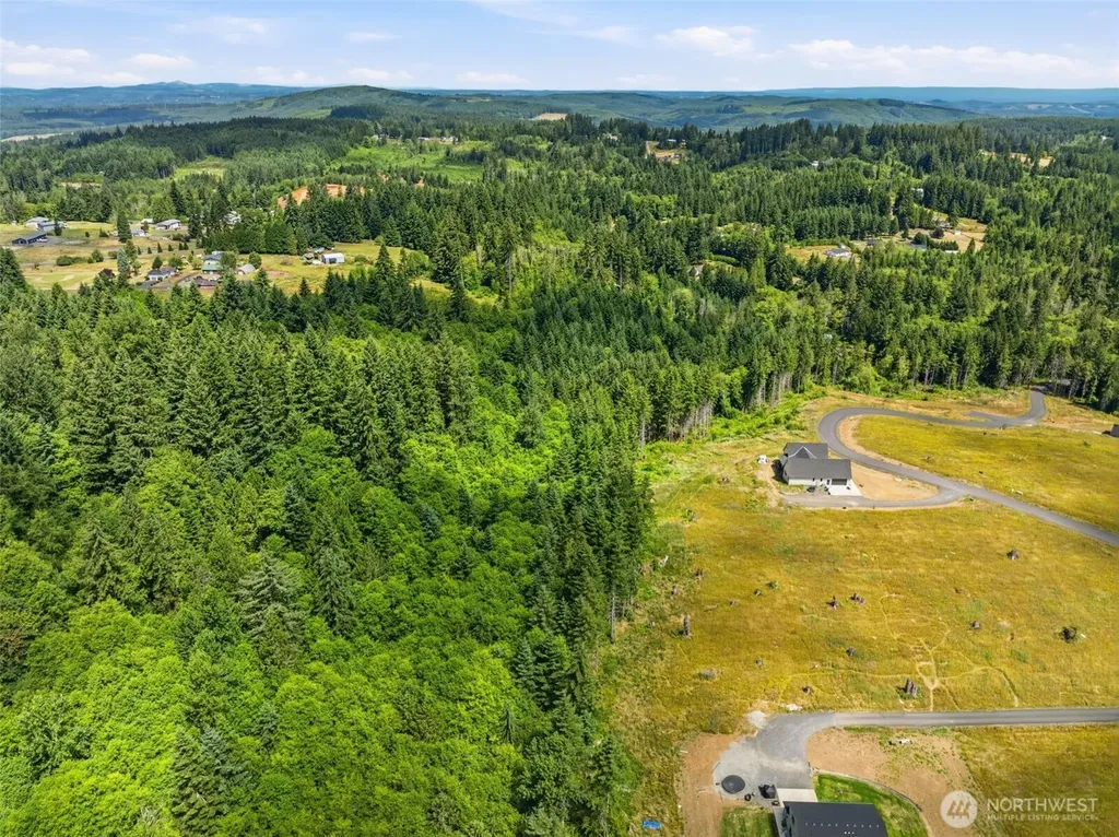 252 Ash Mountain Drive Castle Rock WA 98611