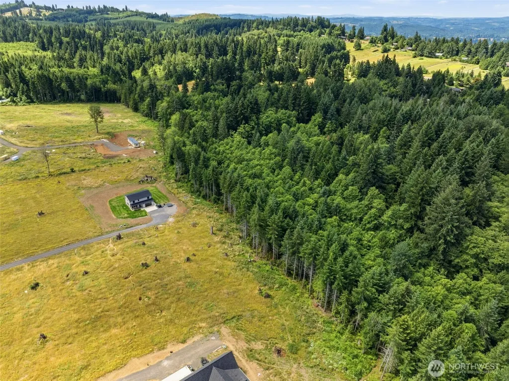 252 Ash Mountain Drive Castle Rock WA 98611