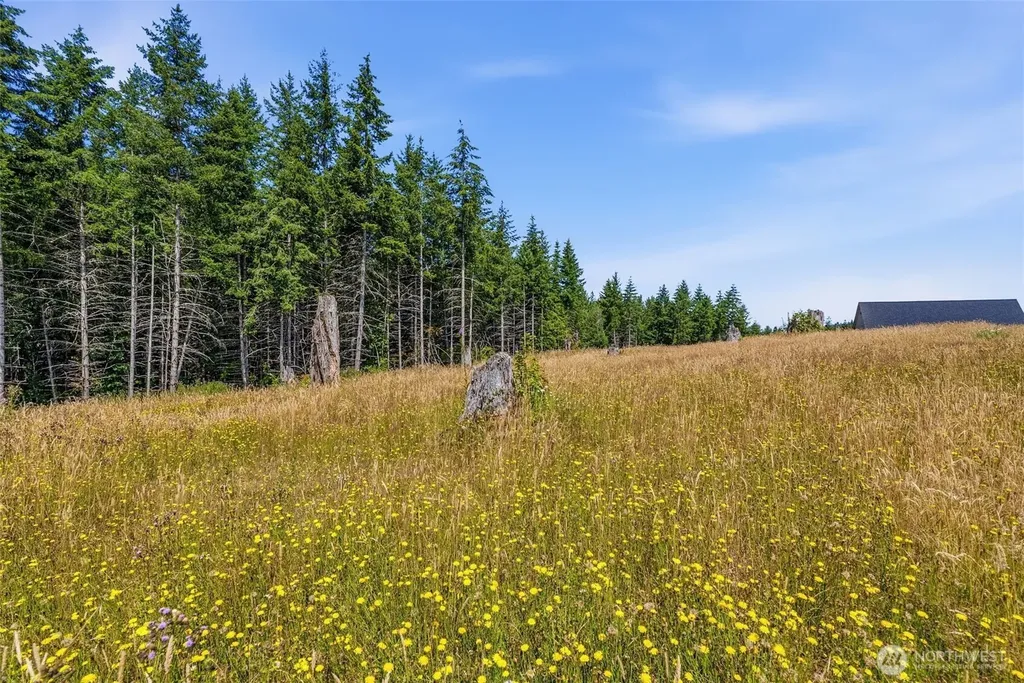 252 Ash Mountain Drive Castle Rock WA 98611