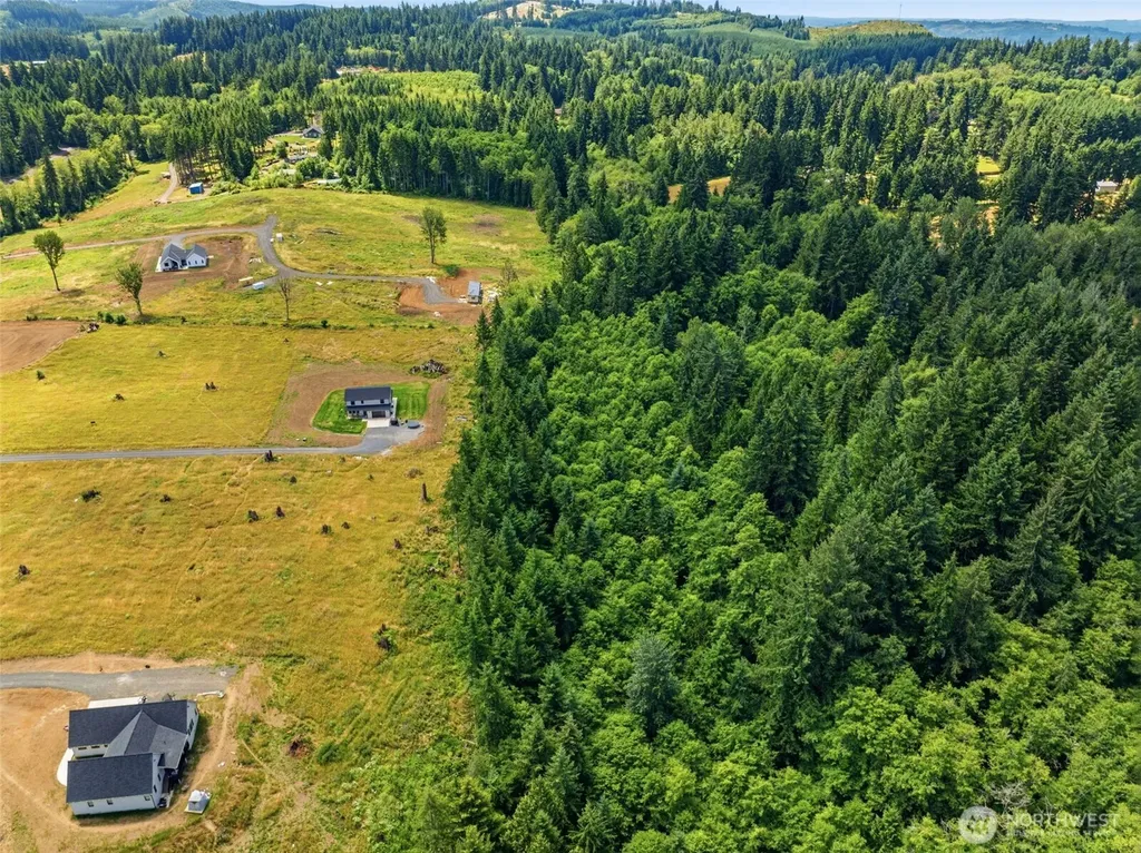252 Ash Mountain Drive Castle Rock WA 98611