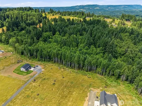 252 Ash Mountain Drive Castle Rock WA 98611