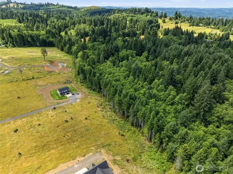 252 Ash Mountain Drive Castle Rock WA 98611