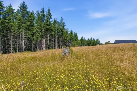 252 Ash Mountain Drive Castle Rock WA 98611