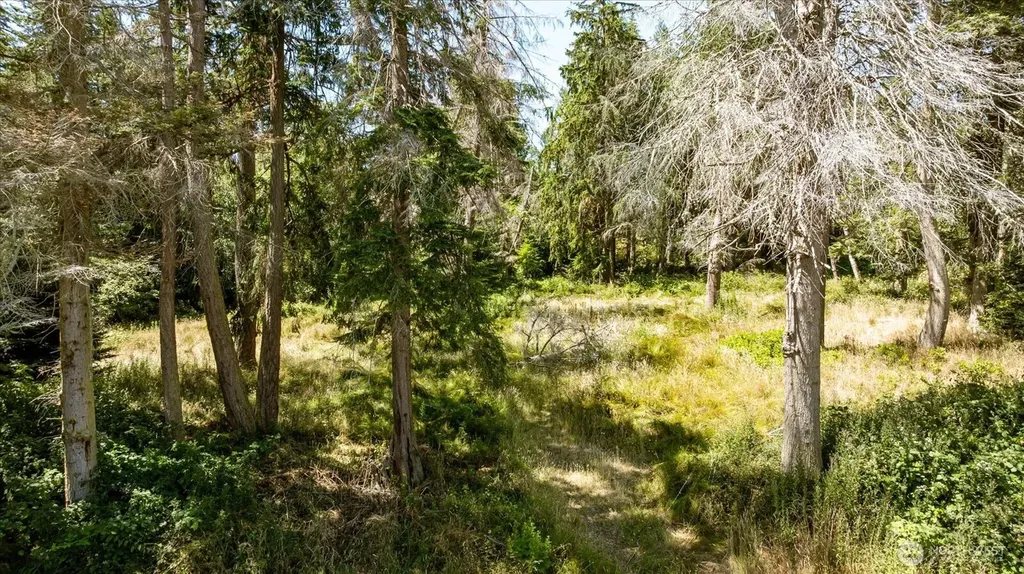 2458 North Bluff Road Greenbank WA 98253