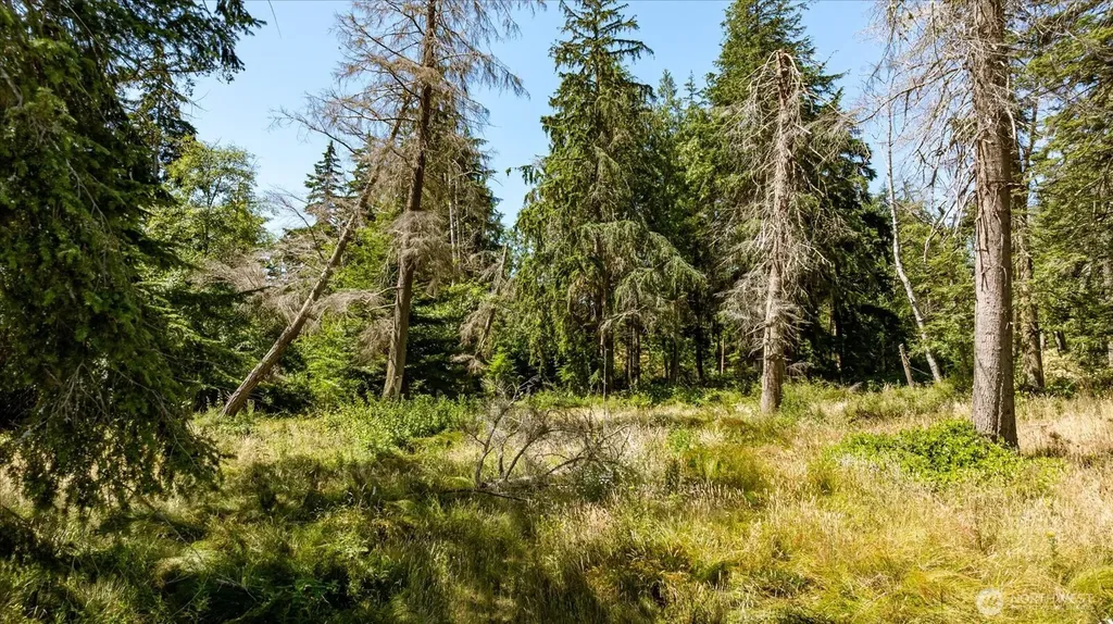 2458 North Bluff Road Greenbank WA 98253