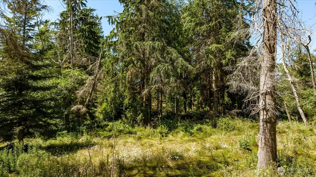 2458 North Bluff Road Greenbank WA 98253