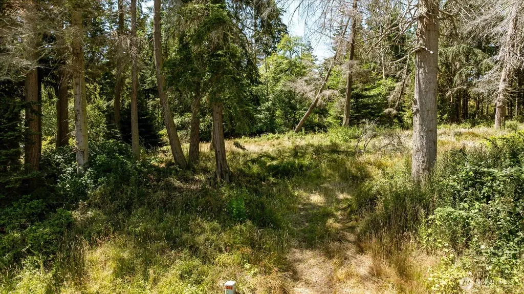 2458 North Bluff Road Greenbank WA 98253