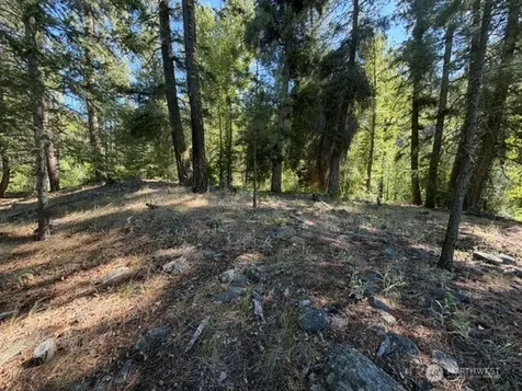 0 E Buttermilk Creek Road Twisp WA 98856