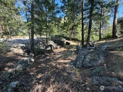 0 E Buttermilk Creek Road Twisp WA 98856