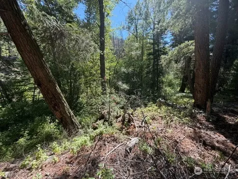 0 E Buttermilk Creek Road Twisp WA 98856