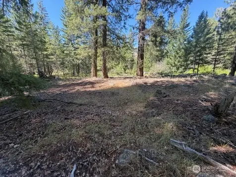 0 E Buttermilk Creek Road Twisp WA 98856