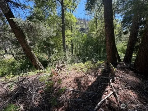 0 E Buttermilk Creek Road Twisp WA 98856