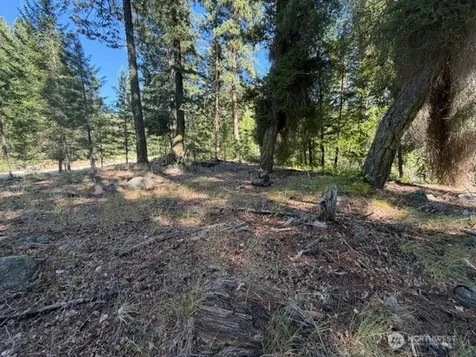 0 E Buttermilk Creek Road Twisp WA 98856