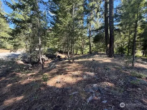 0 E Buttermilk Creek Road Twisp WA 98856