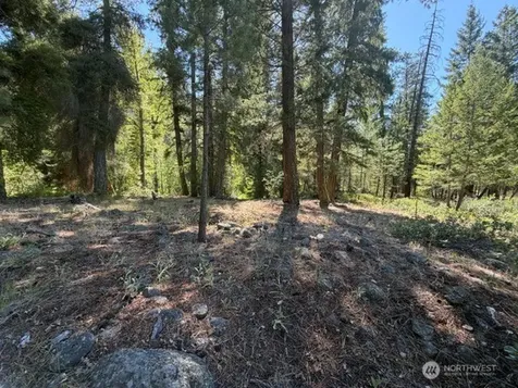 0 E Buttermilk Creek Road Twisp WA 98856