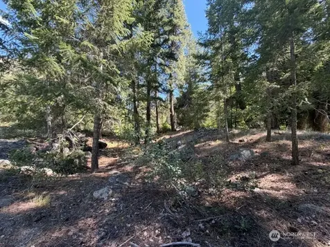 0 E Buttermilk Creek Road Twisp WA 98856