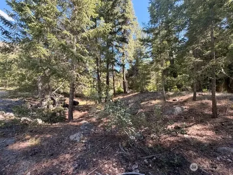 0 E Buttermilk Creek Road Twisp WA 98856