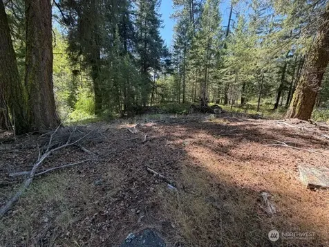 0 E Buttermilk Creek Road Twisp WA 98856