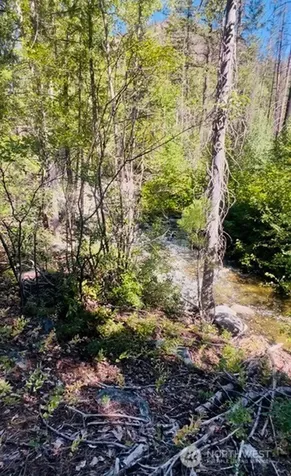 0 E Buttermilk Creek Road Twisp WA 98856