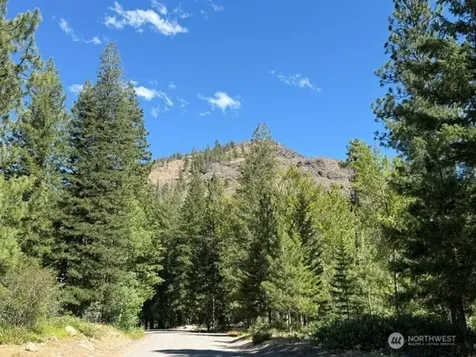 0 E Buttermilk Creek Road Twisp WA 98856