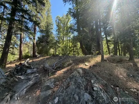 0 E Buttermilk Creek Road Twisp WA 98856