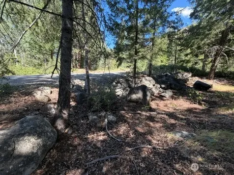 0 E Buttermilk Creek Road Twisp WA 98856