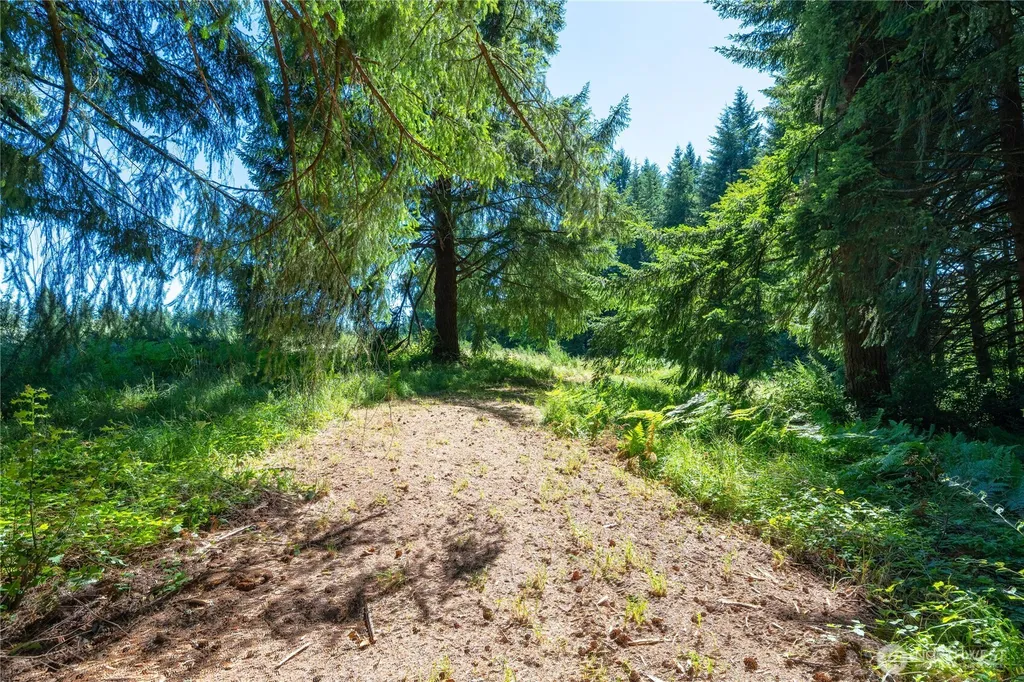 126 Burchett Road Onalaska WA 98570