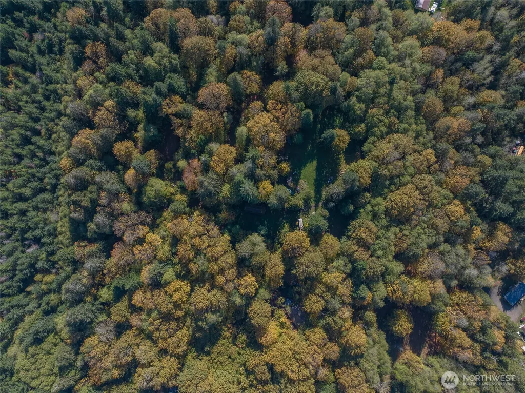 490 Maple Rock Road Matlock WA 98560