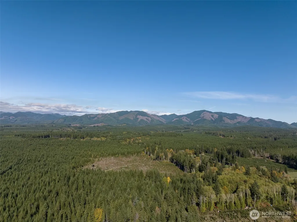 490 Maple Rock Road Matlock WA 98560