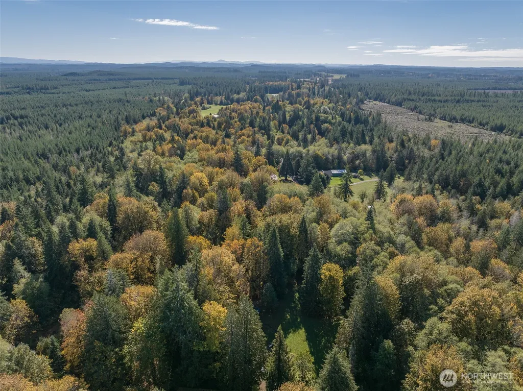 490 Maple Rock Road Matlock WA 98560