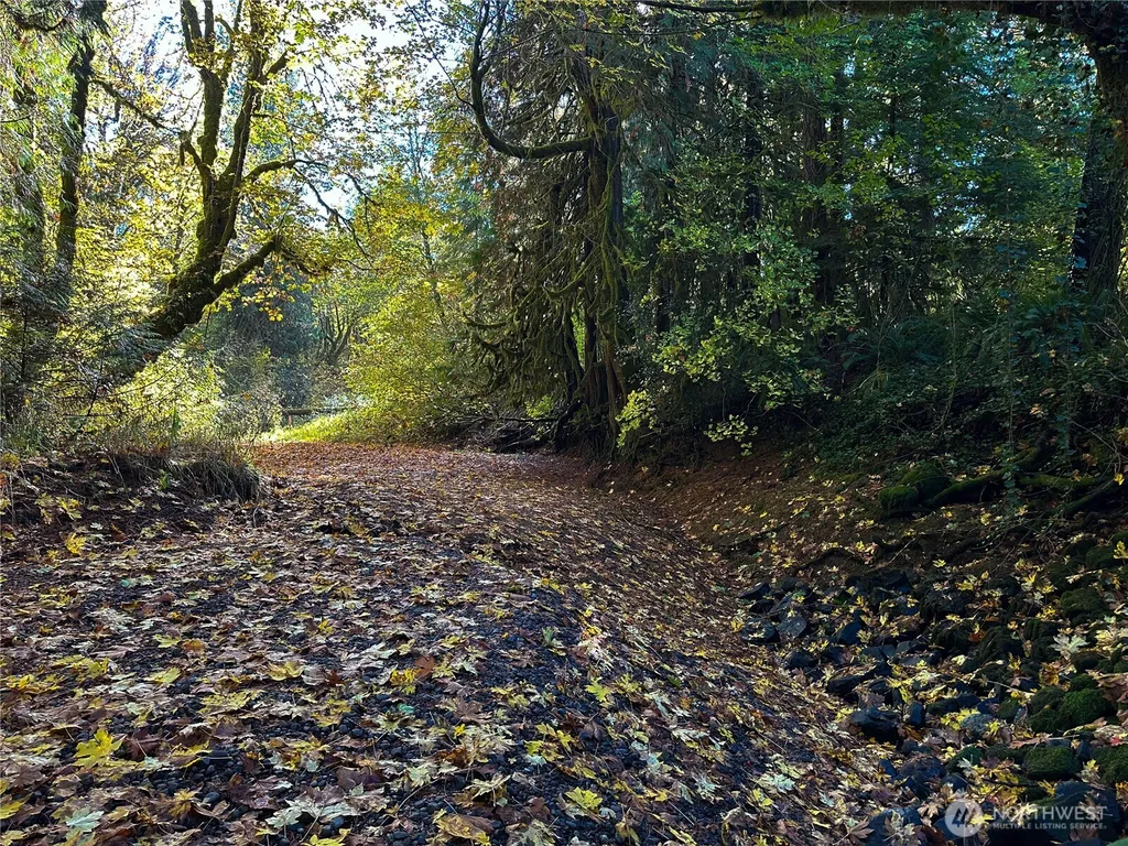 490 Maple Rock Road Matlock WA 98560