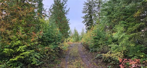 2518 A Bodie Mountain Road Colville WA 99114