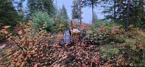 2518 A Bodie Mountain Road Colville WA 99114
