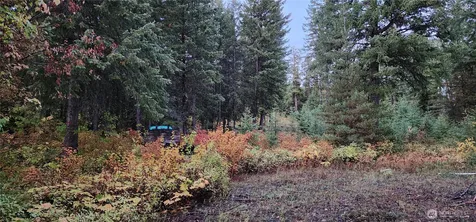 2518 A Bodie Mountain Road Colville WA 99114