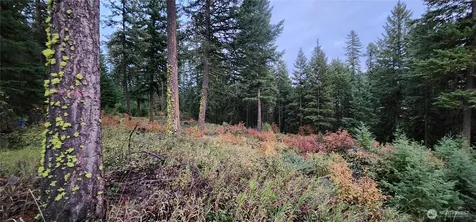 2518 A Bodie Mountain Road Colville WA 99114