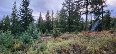2518 A Bodie Mountain Road Colville WA 99114